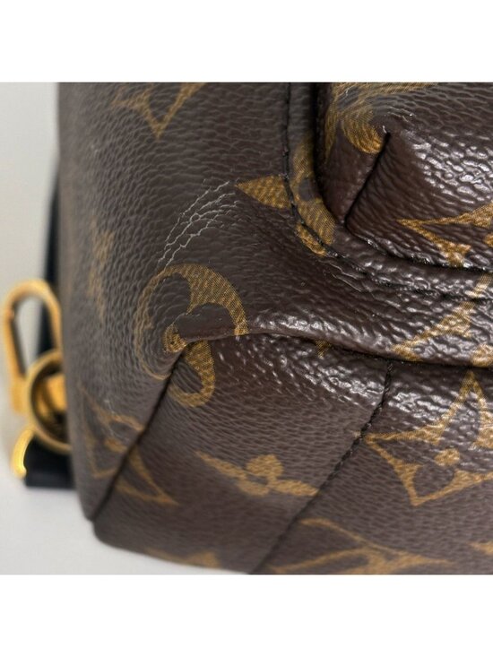Louis Vuitton Palm Springs Backpack Mini Monogram Brown main image 4